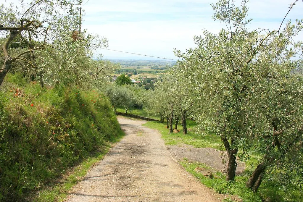 San Eusebio Villa Cortona